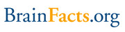 Logo_BrainFactsorg