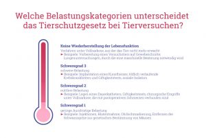 Grafik: Belastungskategorien von Tierversuchen laut deutschem Tierschutzgesetz.